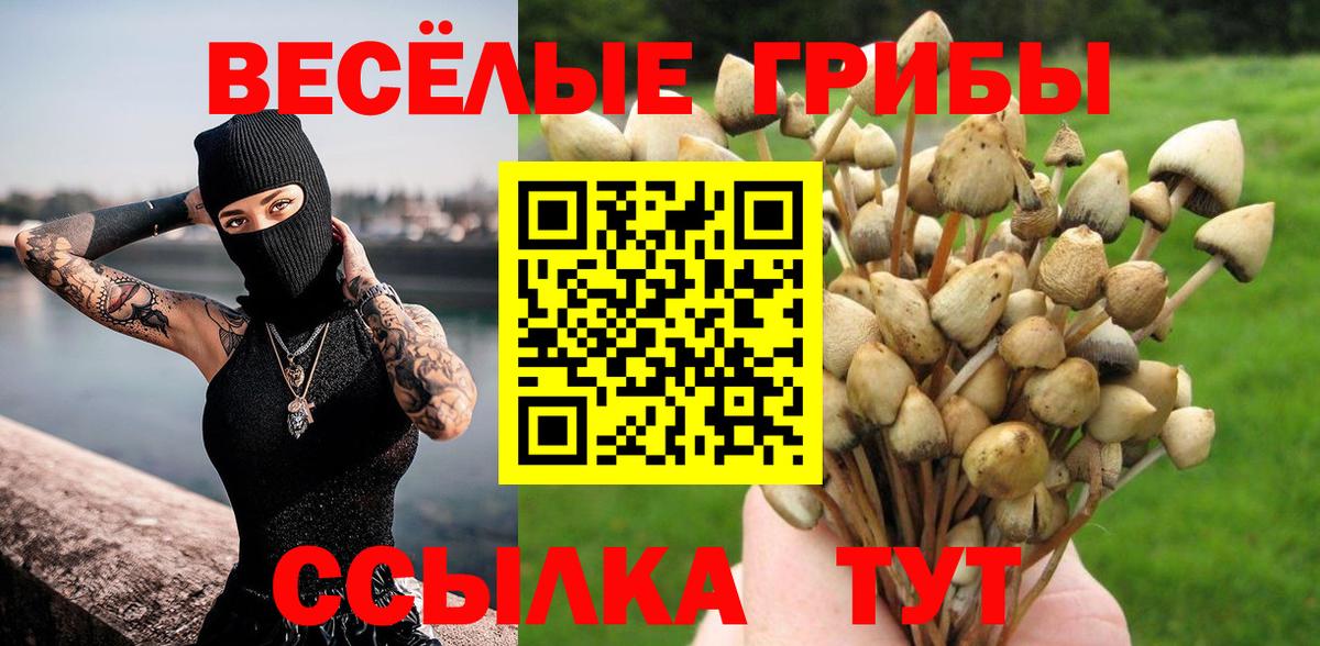 Галлюциногенные грибы мухоморы  Вход с VPN  Псилоцибиновые грибы ЛСД  Касимов 