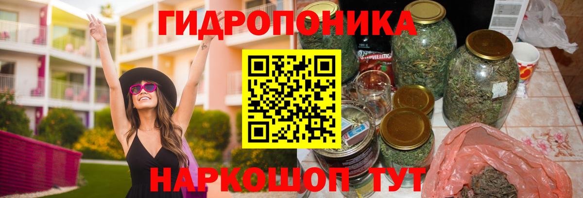 Марихуана VHQ  Канабис White Widow  Вход с VPN  Касимов  Бошки марихуана Bruce Banner 